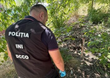 Наркосхема с участием подростка и украинца раскрыта в столице