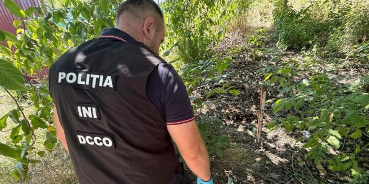 Наркосхема с участием подростка и украинца раскрыта в столице