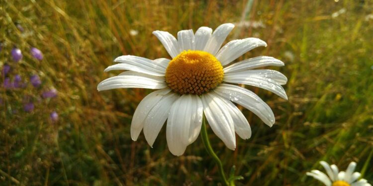 Прогноз погоды на 2 августа