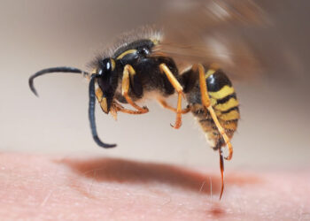 Peste 14.800 de intervenții medicale urgente în ultimele șapte zile în Moldova