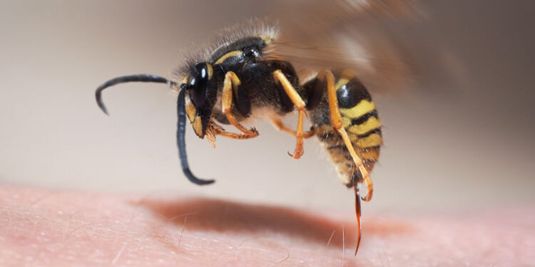 Peste 14.800 de intervenții medicale urgente în ultimele șapte zile în Moldova