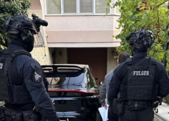 Четыре фермера подозреваются в том, что они причинили ущерб государству на 51 млн леев