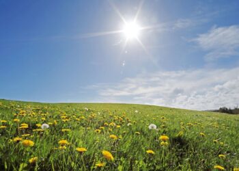 Soare și temperaturi ridicate în toată țara”