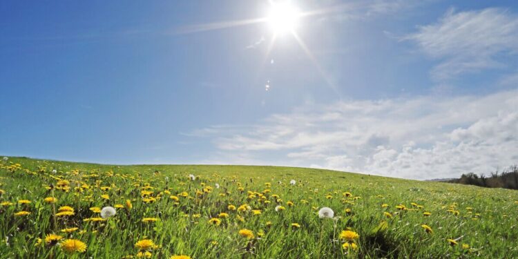 Soare și temperaturi ridicate în toată țara”