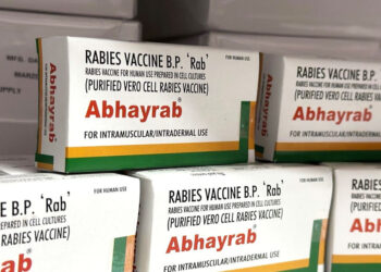 В Молдову прибыла новая партия вакцины от бешенства