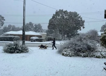 Fenomen neobișnuit: peste 15 cm de zăpadă în orașul Queensland