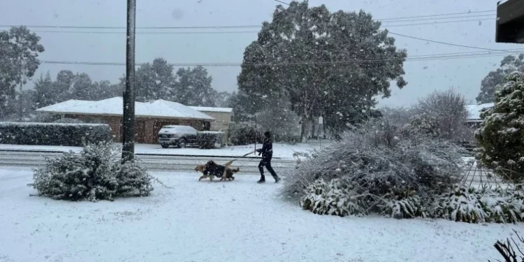 Fenomen neobișnuit: peste 15 cm de zăpadă în orașul Queensland