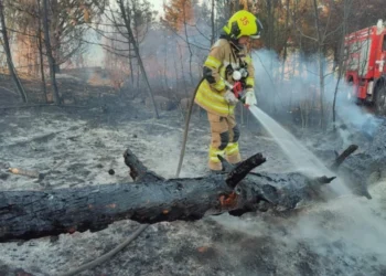 Молдавские спасатели провели 10 часов на тушении крупного пожара в Греции