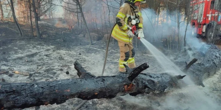 Молдавские спасатели провели 10 часов на тушении крупного пожара в Греции