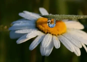 Caniculă în sud, instabilitate atmosferică în restul țării