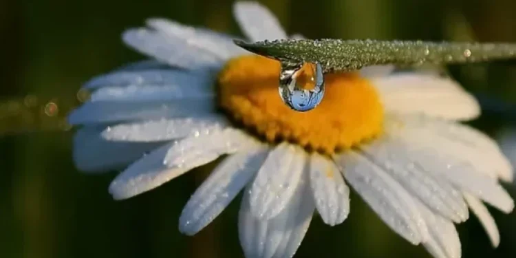 Caniculă în sud, instabilitate atmosferică în restul țării