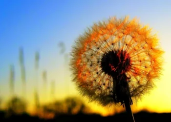 Weekend cu vreme caldă și cer variabil, fără ploi