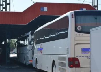 Pastile psihotrope ascunse descoperite la Palanca