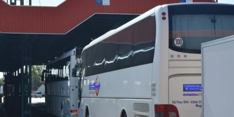 Pastile psihotrope ascunse descoperite la Palanca