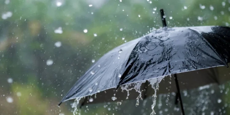 Прогноз погоды на 23 августа