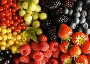 Сезон летних ягод в Молдове: низкий урожай и высокие цены