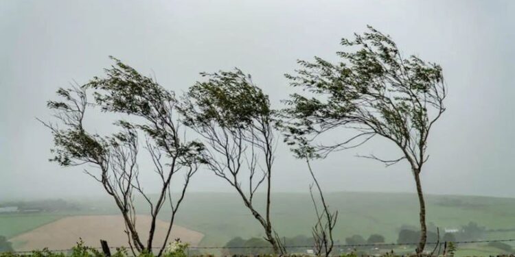 De sâmbătă se răcește. Vin ploile
