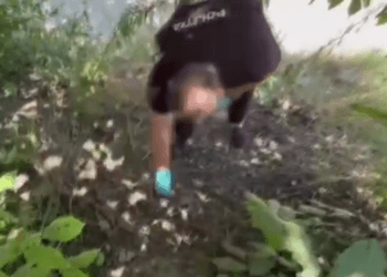 Droguri de 400.000 lei, confiscate la Ciocana. O minoră printre suspecți