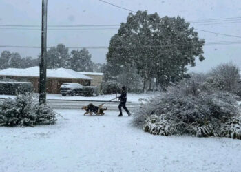 Zeci de mii de case fără curent după furtuni și ninsori record în Australia