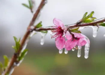Cea mai rece zi de vară din august 2025. Zonele din România cu temperaturi sub limita înghețului