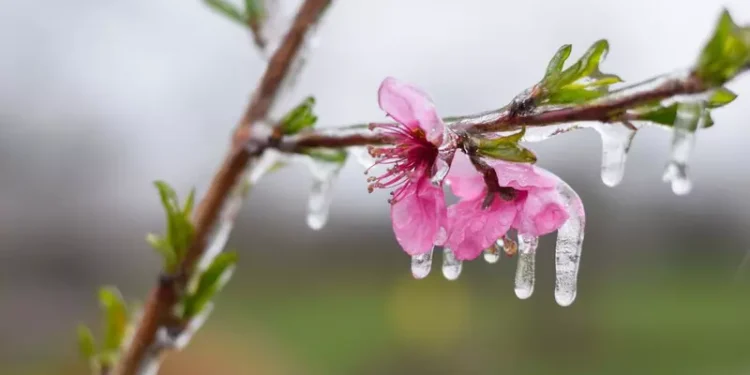 Cea mai rece zi de vară din august 2025. Zonele din România cu temperaturi sub limita înghețului