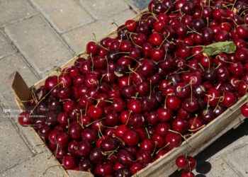 Цены на сельскохозяйственную продукцию выросли. Ягоды и фрукты подорожали вдвое