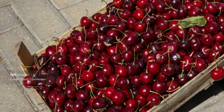 Цены на сельскохозяйственную продукцию выросли. Ягоды и фрукты подорожали вдвое