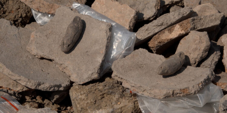 Descoperiri arheologice la Hansca: urme ale unei cetăți getice din secolele IV-III î.e.n.