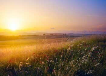 Прогноз погоды на 30 августа