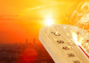 Cod galben de caniculă emis pentru sudul și estul țării