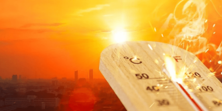 Cod galben de caniculă emis pentru sudul și estul țării
