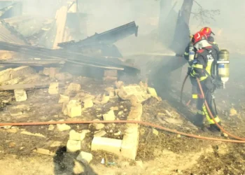 Studiu: Schimbările climatice au agravat incendiile mortale din Turcia, Grecia și Cipru