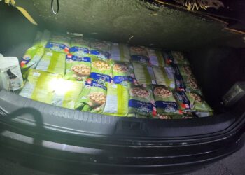 Lot de fistic ascuns, reținut la intrarea în Moldova