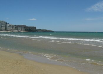 Популярная у туристов страна закрыла часть пляжа из-за нашествия смертоносных существ