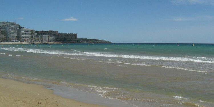 Популярная у туристов страна закрыла часть пляжа из-за нашествия смертоносных существ