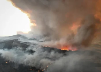 Peste 250 de persoane evacuate în Çanakkale, Turcia, din cauza unui nou incendiu de vegetație