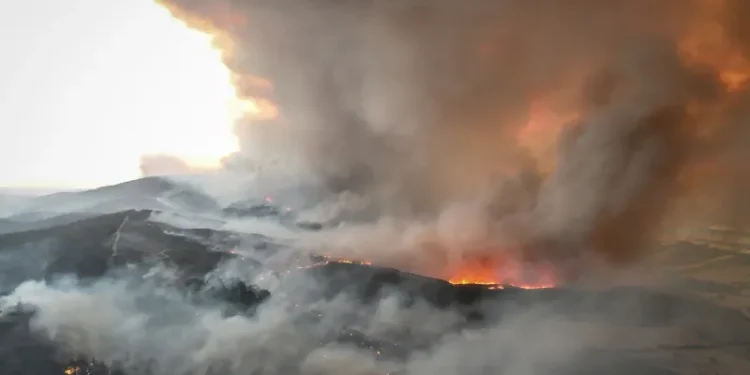 Peste 250 de persoane evacuate în Çanakkale, Turcia, din cauza unui nou incendiu de vegetație