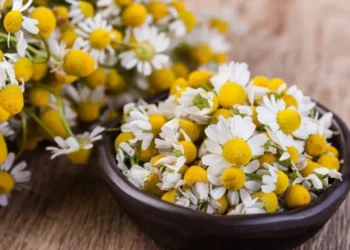 Dacă l-ați cumpărat, returnați-l imediat! Un lot de ceai de romaniță este retras din comerț