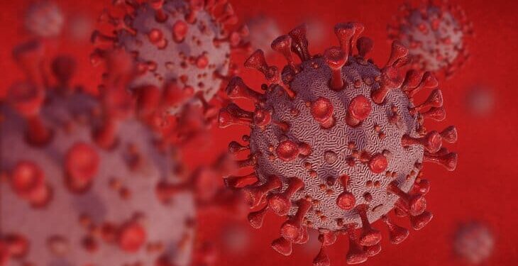 В Молдове выявлены случаи нового штамма коронавируса — «Стратус»