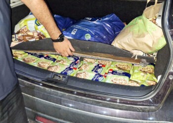 На КПП «Кагул» таможенники выявили 253 упаковки фисташек и арахиса