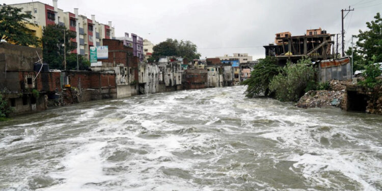 Реки по всему миру выходят из-под контроля: ученые предупреждают о новой опасности