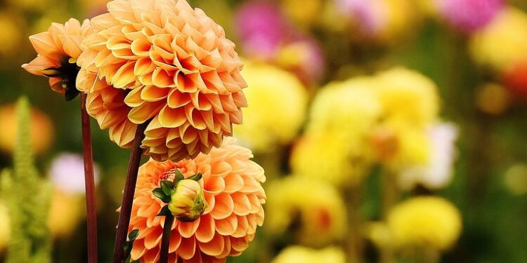 Погода в Молдове 19 сентября: комфортное тепло и без дождей