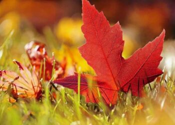 24 сентября синоптики обещают в Молдове последний тёплый день перед похолоданием