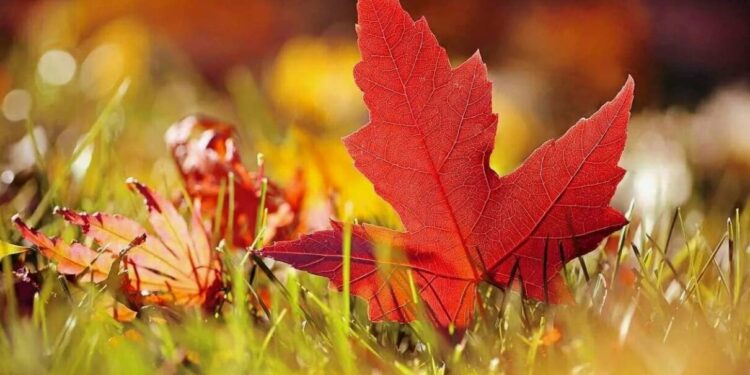 24 сентября синоптики обещают в Молдове последний тёплый день перед похолоданием