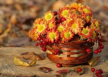 26 сентября в Молдове – солнечно и без осадков