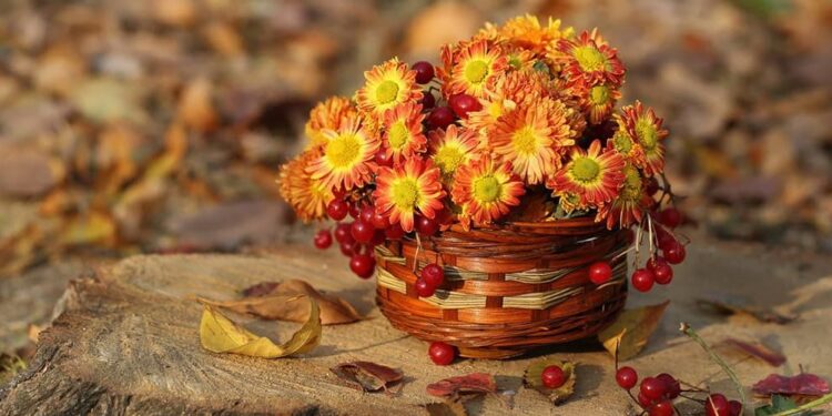 26 сентября в Молдове – солнечно и без осадков