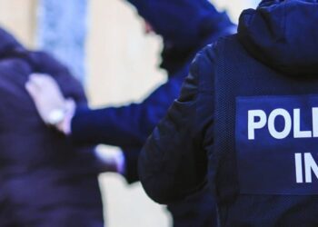 Полиция на юге страны изъяла наркотики на 150 000 леев, оружие и боеприпасы