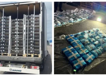 Яблоки с «сюрпризом»: россияне обнаружили 300 кг наркотиков в молдавском грузовике