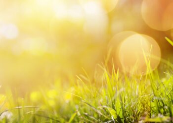 Лето не сдаётся: в Молдове вновь жаркие дни