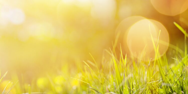 Лето не сдаётся: в Молдове вновь жаркие дни